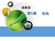 科学【湘科版】五年级上册《电池》PPT课件 (8)