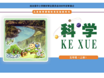 科学【湘科版】五年级上册《电池》PPT课件 (10)
