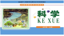 科学【湘科版】五年级上册《电池》PPT课件