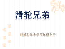 科学【湘科版】五年级上册《滑轮兄弟》PPT课件 (12)