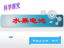 科学【湘科版】五年级上册《水果电池》PPT课件 (2)