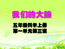 科学【湘科版】五年级上册《我们的大脑》PPT课件 (3)