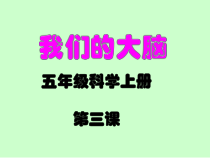 科学【湘科版】五年级上册《我们的大脑》PPT课件