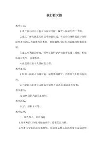 科学【湘科版】五年级上册《我们的大脑》教案 (3)
