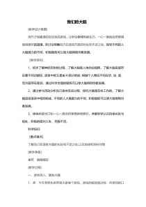 科学【湘科版】五年级上册《我们的大脑》教案