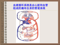 科学【湘科版】五年级上册《心脏和血管》PPT课件 (2)
