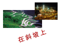 科学【湘科版】五年级上册《在斜坡上》PPT课件 (4)