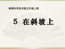 科学【湘科版】五年级上册《在斜坡上》PPT课件 (10)