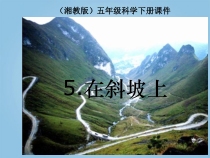 科学【湘科版】五年级上册《在斜坡上》PPT课件 (14)