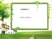 科学【湘科版】五年级上册《在斜坡上》PPT课件 (16)