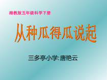 科学【湘科版】五年级下册《从种瓜得瓜说起》PPT课件 (27)