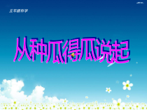 科学【湘科版】五年级下册《从种瓜得瓜说起》PPT课件 (20)