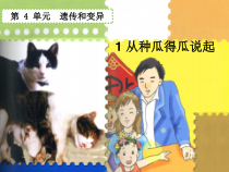 科学【湘科版】五年级下册《从种瓜得瓜说起》PPT课件 (3)