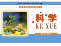 科学【湘科版】五年级下册《电磁铁的磁力》PPT课件 (2)