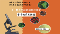 科学【湘科版】五年级下册《解开生物体结构的秘密》PPT课件