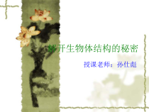 科学【湘科版】五年级下册《解开生物体结构的秘密》PPT课件3