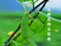 科学【湘科版】五年级下册《从种瓜得瓜说起》PPT课件 (21)