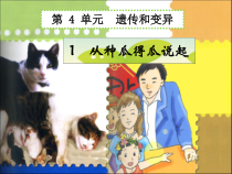 科学【湘科版】五年级下册《从种瓜得瓜说起》PPT课件 (8)