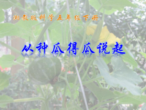 科学【湘科版】五年级下册《从种瓜得瓜说起》PPT课件 (2)