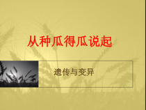 科学【湘科版】五年级下册《从种瓜得瓜说起》PPT课件 (29)