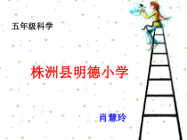 科学【湘科版】五年级下册《从种瓜得瓜说起》PPT课件 (24)