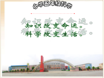 科学【湘科版】五年级下册《电磁铁的磁力》PPT课件