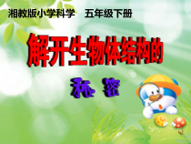 科学【湘科版】五年级下册《解开生物体结构的秘密》PPT课件4 (2)