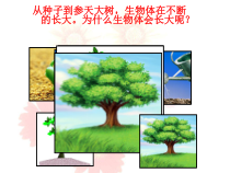 科学【湘科版】五年级下册《解开生物体结构的秘密》PPT课件 (9)