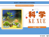 科学【湘科版】五年级下册《科学自己做，我也能成功》PPT课件