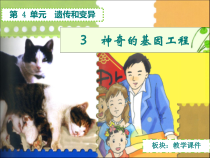 科学【湘科版】五年级下册《神奇的基因工程》PPT课件 (3)