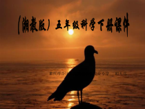科学【湘科版】五年级下册《太阳与影子》PPT课件 (6)