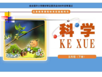 科学【湘科版】五年级下册《太阳与影子》PPT课件 (8)