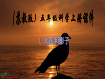 科学【湘科版】五年级下册《太阳与影子》PPT课件 (14)