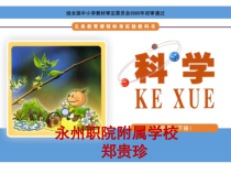 科学【湘科版】五年级下册《太阳与影子》PPT课件 (20)