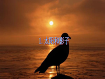 科学【湘科版】五年级下册《太阳与影子》PPT课件5