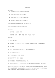 科学【湘科版】五年级下册《太阳与影子》教案 (6)