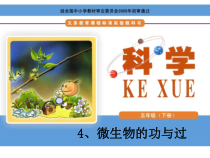 科学【湘科版】五年级下册《微生物的功与过》PPT课件43