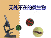 科学【湘科版】五年级下册《无处不在的微生物》PPT课件 (3)
