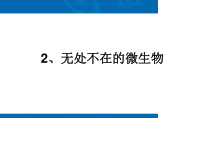 科学【湘科版】五年级下册《无处不在的微生物》PPT课件4