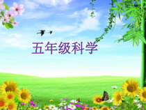 科学【湘科版】五年级下册《一年四季》PPT课件 (3)