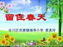 科学【湘科版】五年级下册《一年四季》PPT课件 (5)