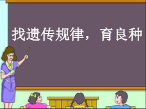 科学【湘科版】五年级下册《找遗传规律，育良种》PPT课件