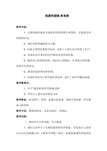 科学【湘科版】五年级下册《找遗传规律，育良种》教案 (6)