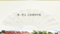 小学科学青岛版六三制六年级下册第一单元《人体感知环境》复习课件（2023春）