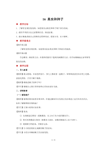 科学【2020新粤教版】三年级下册16《果实和种子》示范教案1