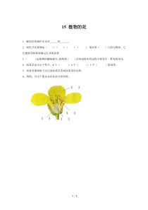 科学【2020新粤教版】三年级下册15 《植物的花》同步测试