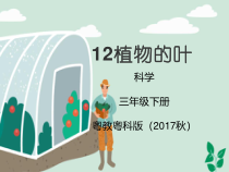 科学【2020新粤教版】三年级下册12《植物的叶》ppt课件