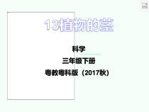 科学【2020新粤教版】三年级下册13《植物的茎》ppt课件