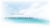 科学【2020新粤教版】三年级下册17《专题探究：脂肪贮藏在哪里》ppt课件