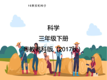 科学【2020新粤教版】三年级下册16《果实与种子》ppt课件